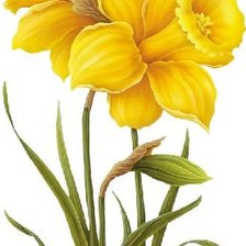 Схема вышивки «все оттенки желтого»