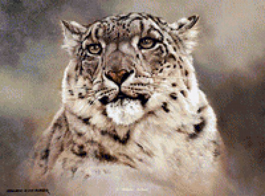 Барс - снег, барс - предпросмотр