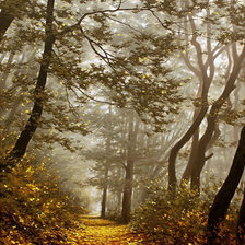 Схема вышивки «№1243082»