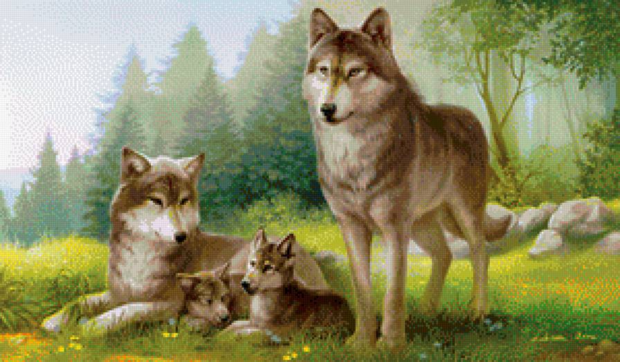 Волчья семья - семья, лес, волки - предпросмотр