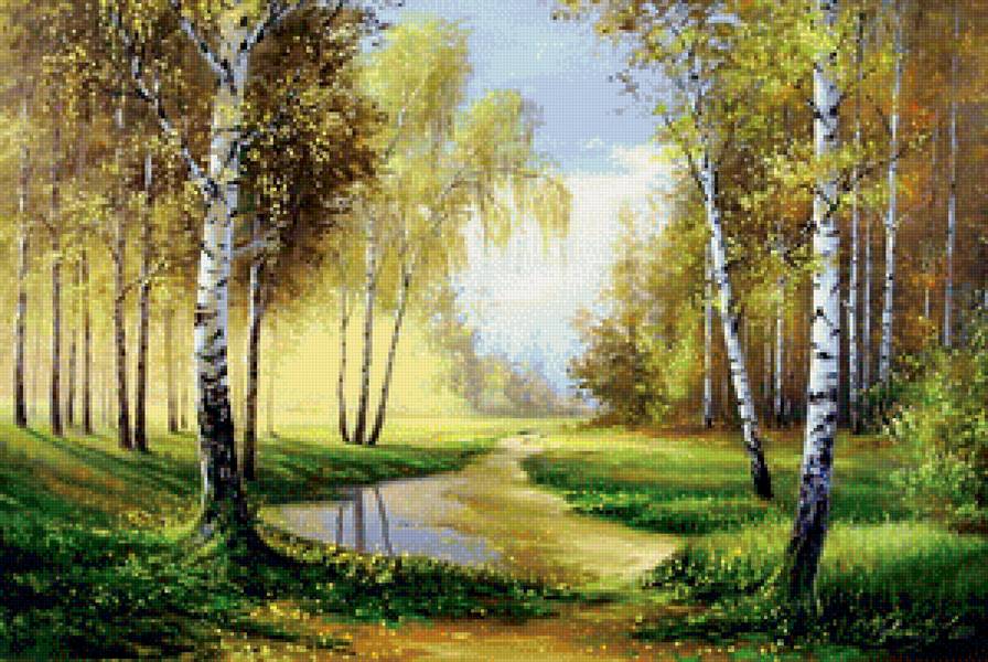 лес - лето, березы, лес - предпросмотр