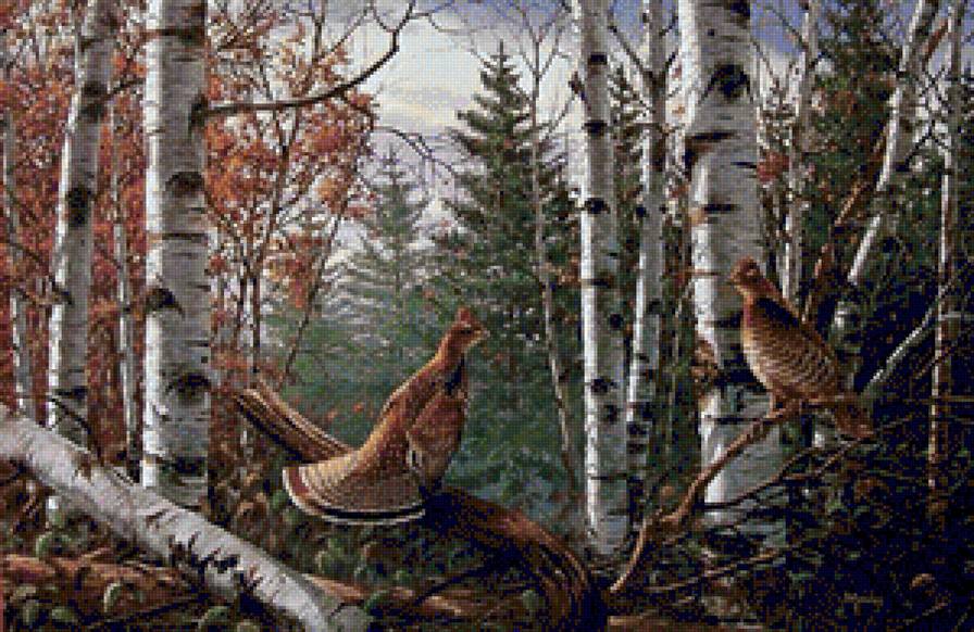 №1243451 - лес, птицы, природа, пейзаж - предпросмотр