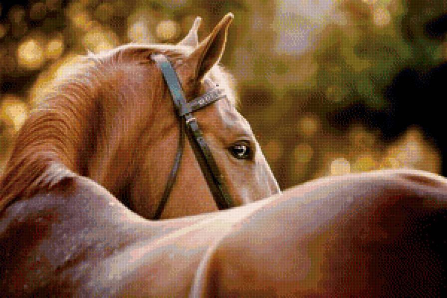 kasztan - kasztan - предпросмотр