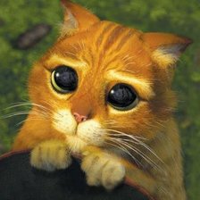 Оригинал схемы вышивки «Кот из Шрека)» (№1244056)