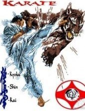 Схема вышивки «киокушинкай»