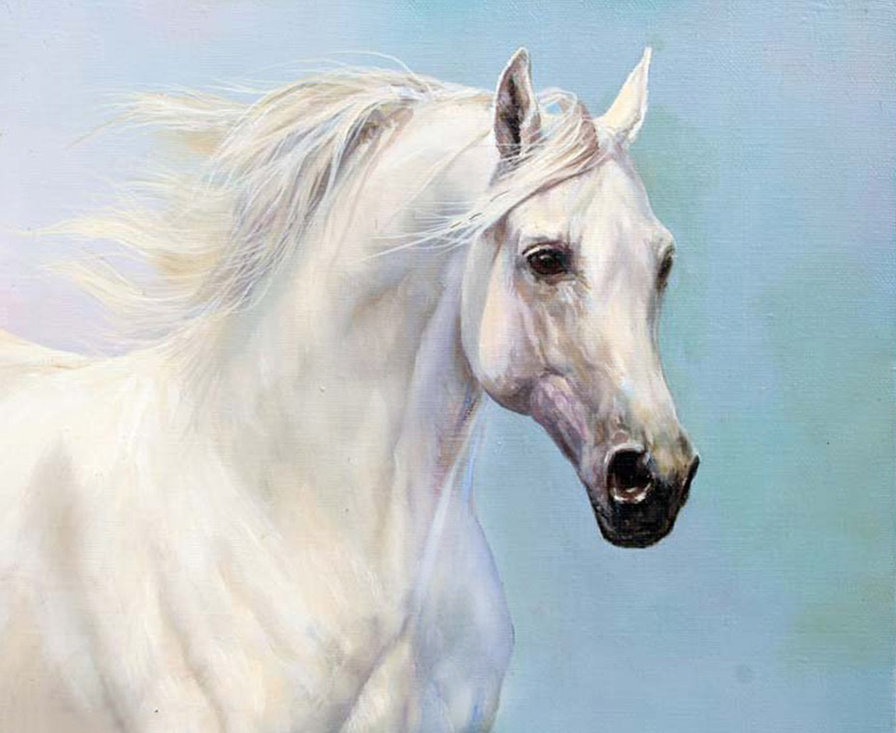 Ветер в гриве - кони, конь, дошади, лошадь, белая лошадь, ветер в гриве, белый конь - оригинал