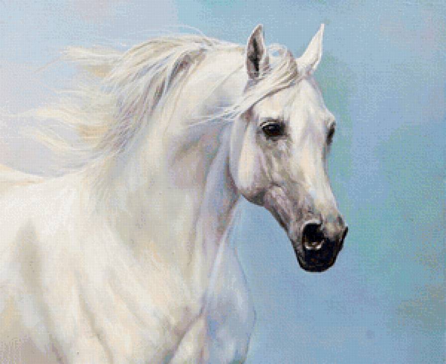 Ветер в гриве - ветер в гриве, лошадь, кони, белая лошадь, конь, белый конь, дошади - предпросмотр