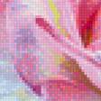 Предпросмотр схемы вышивки «розы» (№1244999)