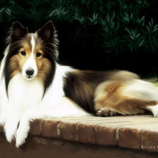 Схема вышивки «№1245664»