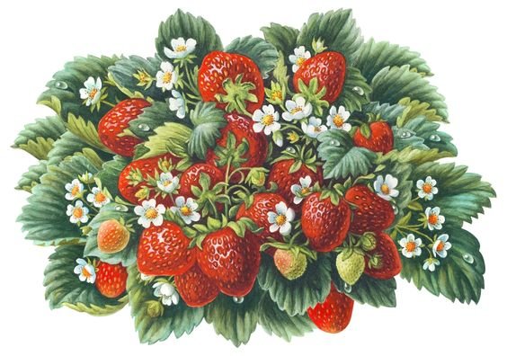 №1246202 - оригинал