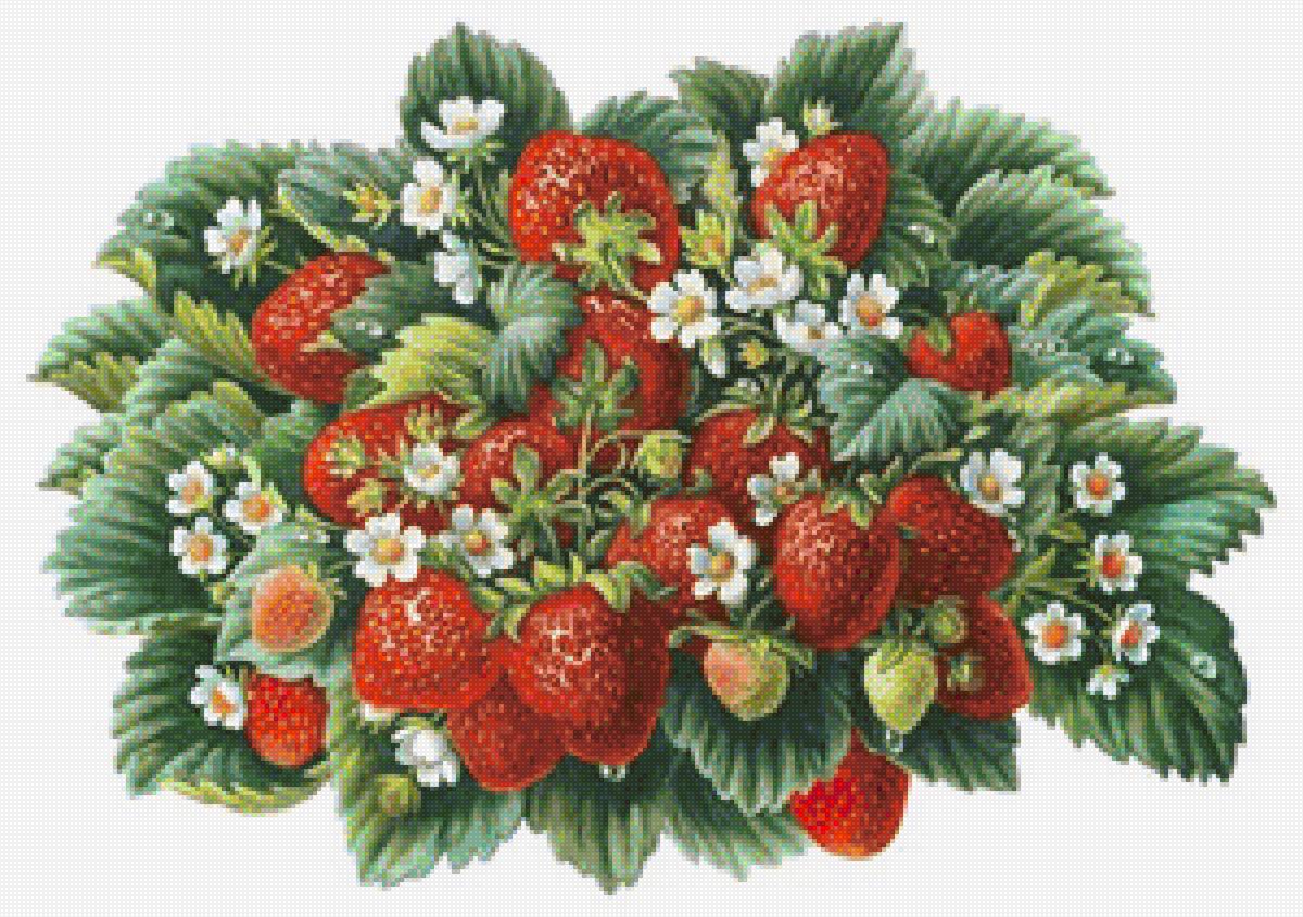 №1246202 - предпросмотр