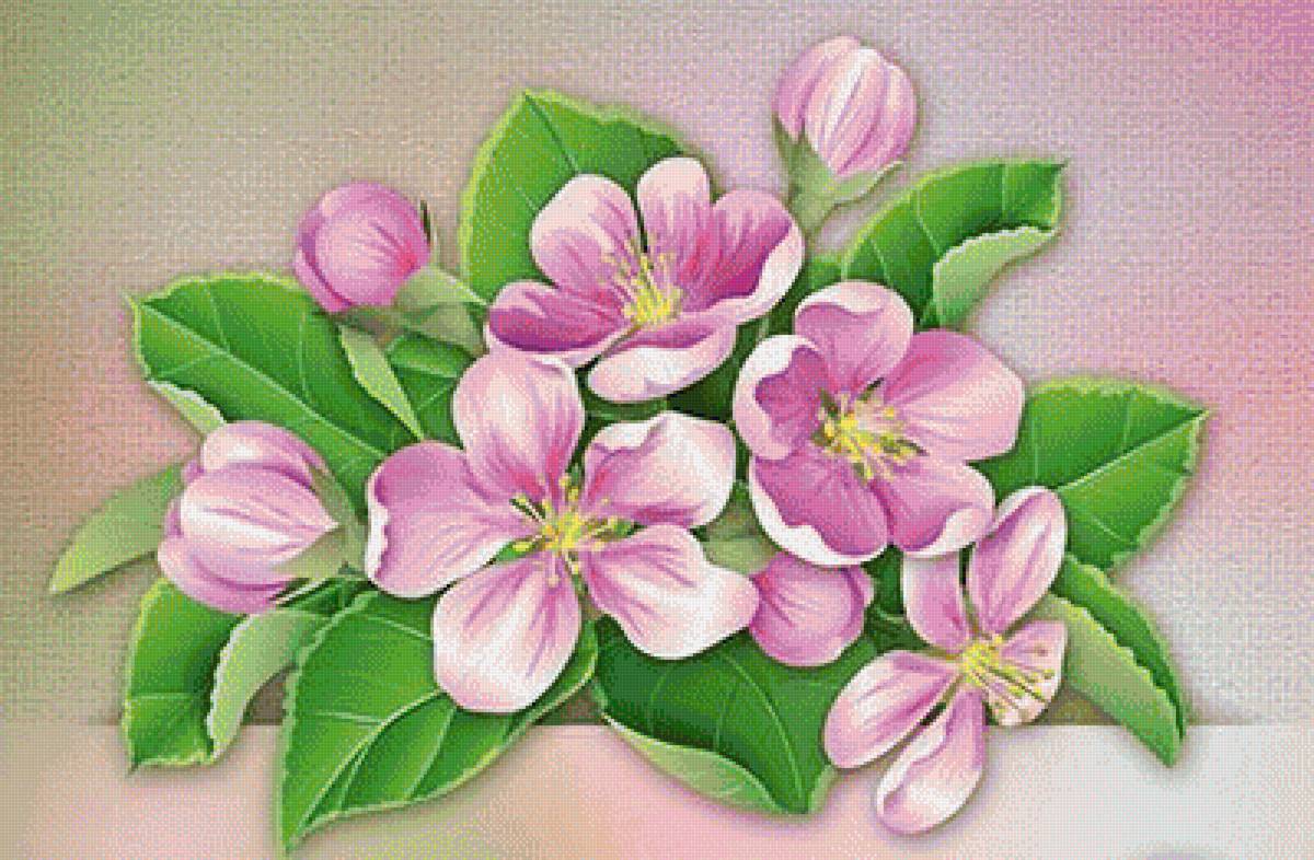 цветущая ветвь - предпросмотр