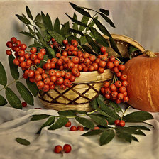 Схема вышивки «рябина»