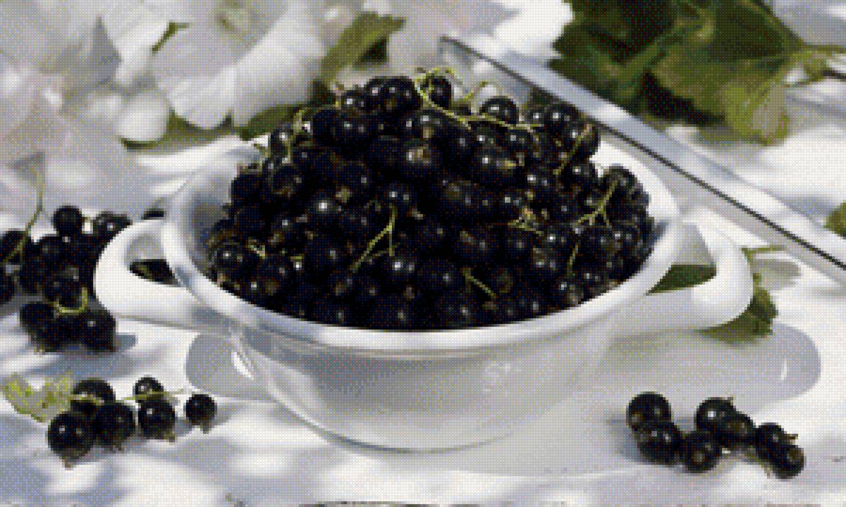 смородина - предпросмотр