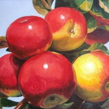 Схема вышивки «Яблоки-4»