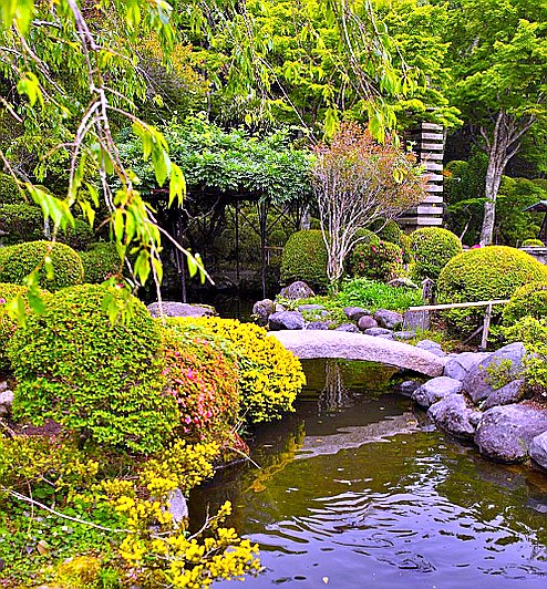 Мостик через речку - вода, река, мост, лес - оригинал