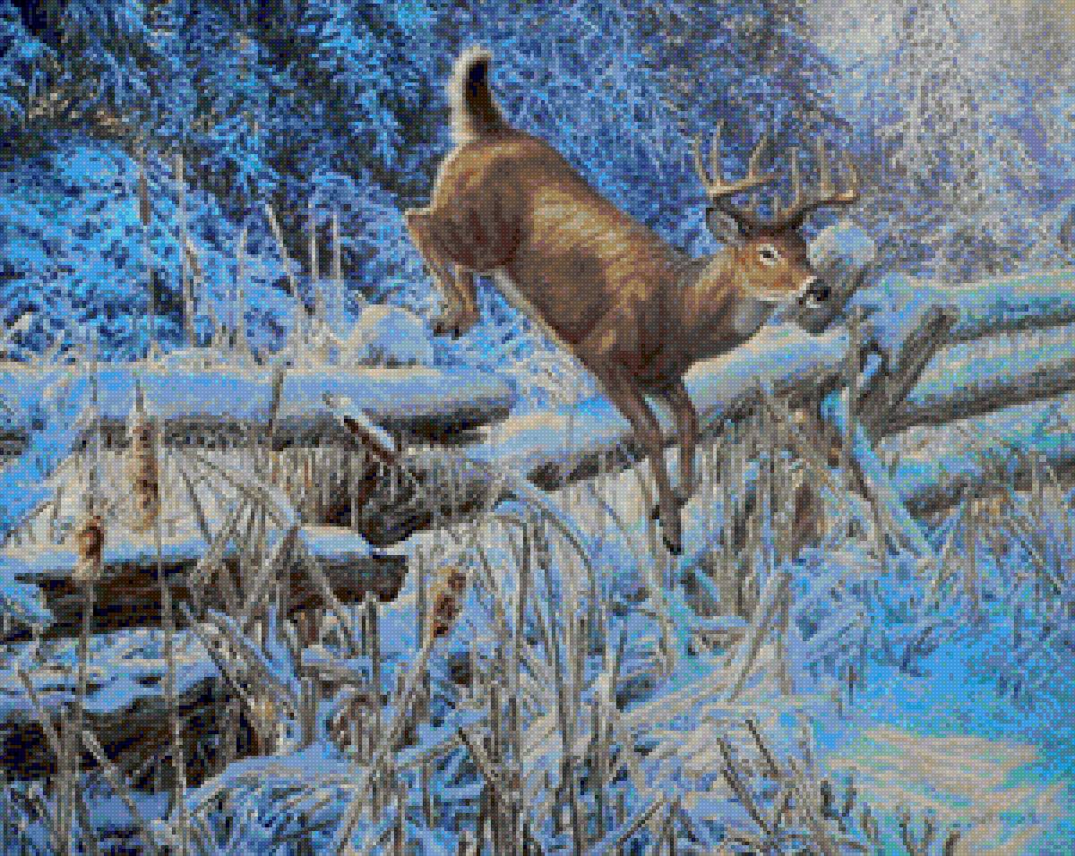 №1247760 - животные - предпросмотр