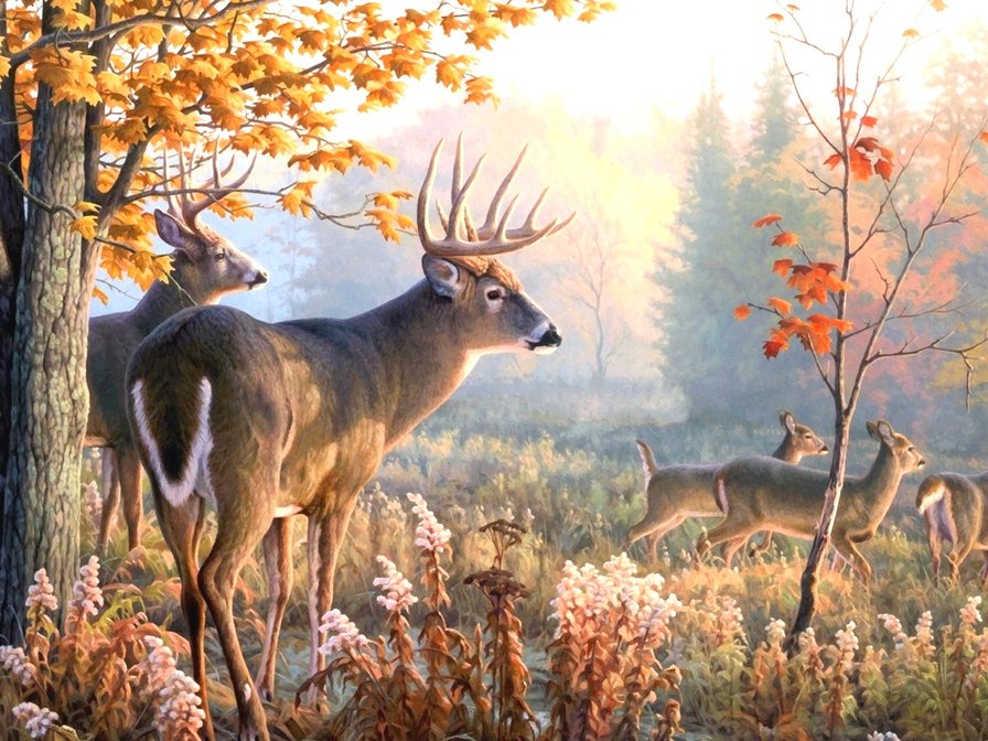 №1247924 - животные - оригинал