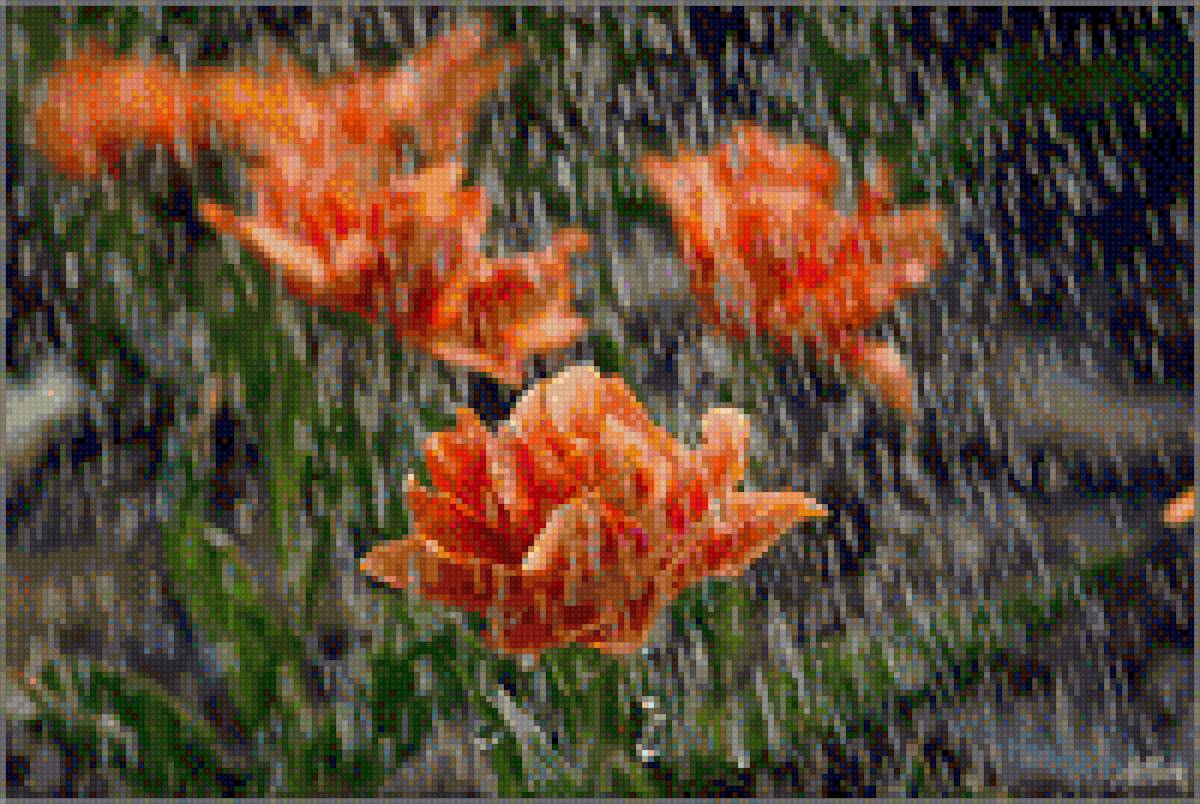 Звуки природы дождя слушать. Цветы под дождем. Природа под дождем. Оранжевый дождь. Цветы природа под дождем.