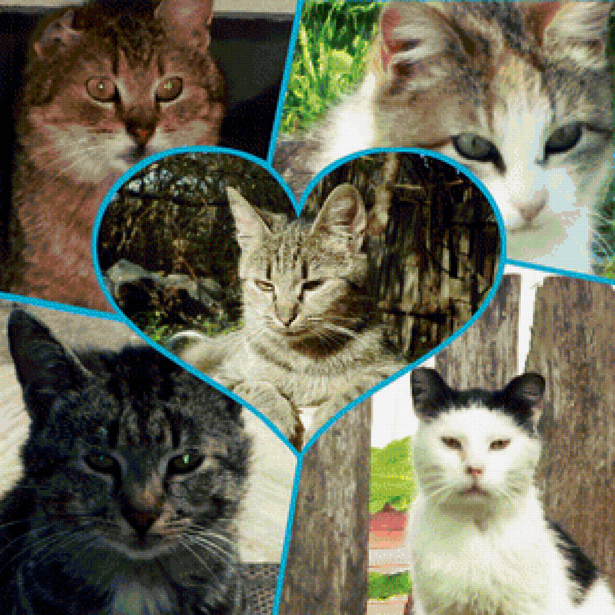 друзья - предпросмотр