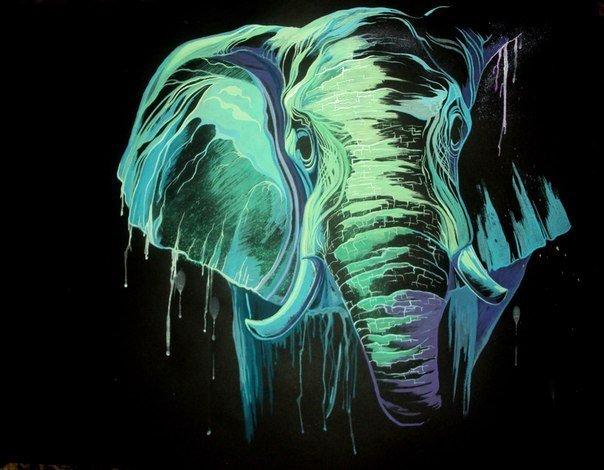 Слон - слон - оригинал