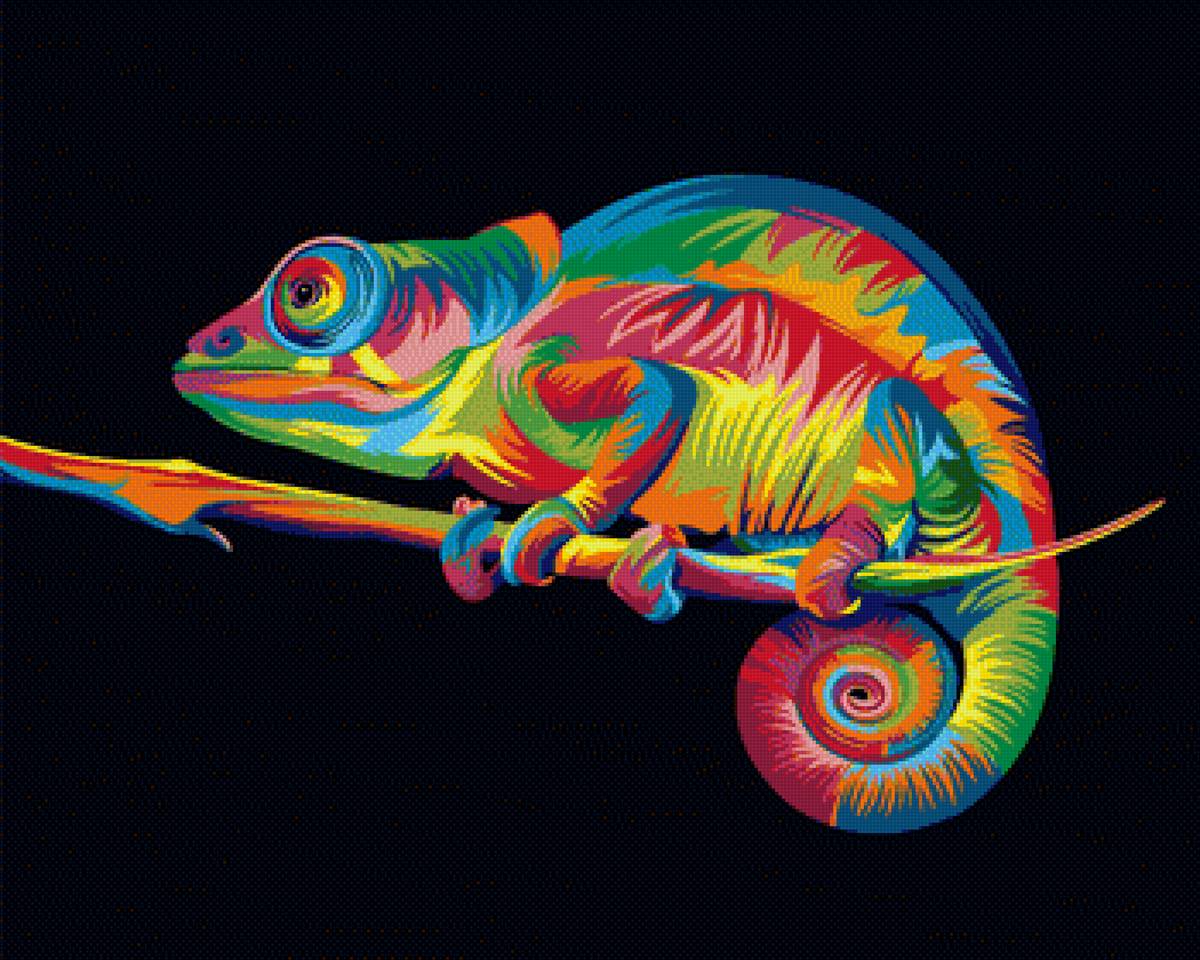 Радужный хамелеон Ваю Ромдони - радужный хамелеон ваю ромдони - предпросмотр