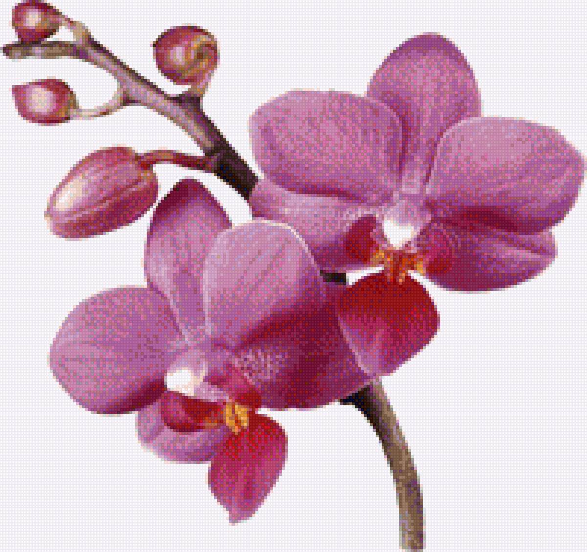 №1248663 - предпросмотр