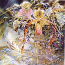 Схема вышивки «орхидеи»