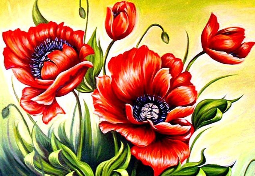 Маки - маки, мак, цветы - оригинал