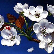 Схема вышивки «Цветущая вишня»