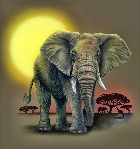 Слон - животные, слон - оригинал
