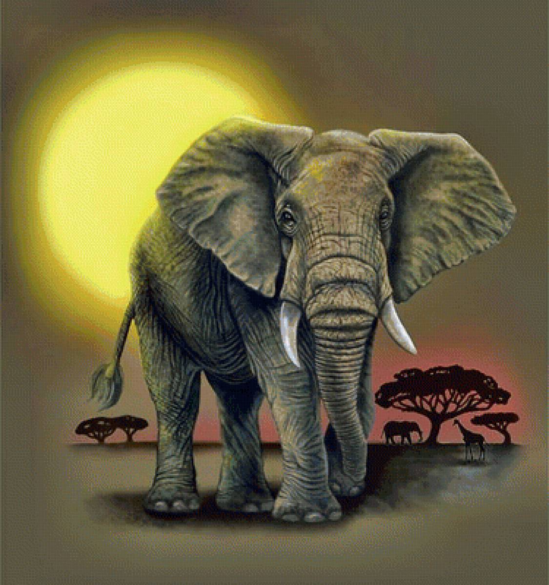 Слон - животные, слон - предпросмотр