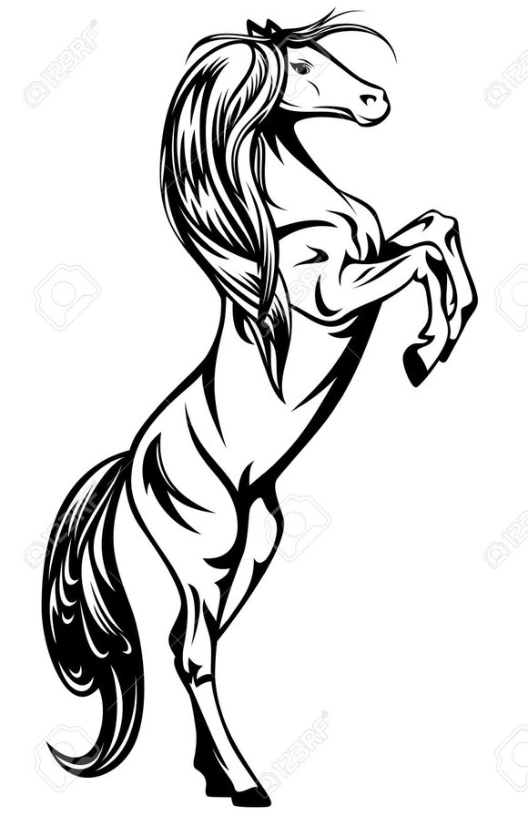 лошадь - животные, черно-белое, лошадь - оригинал