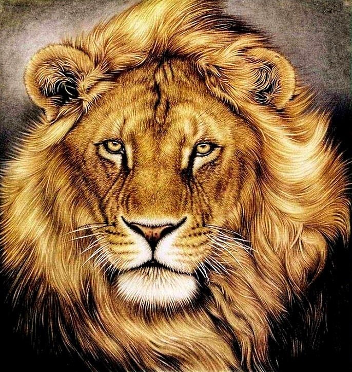 король-лев - лев, хищники - оригинал