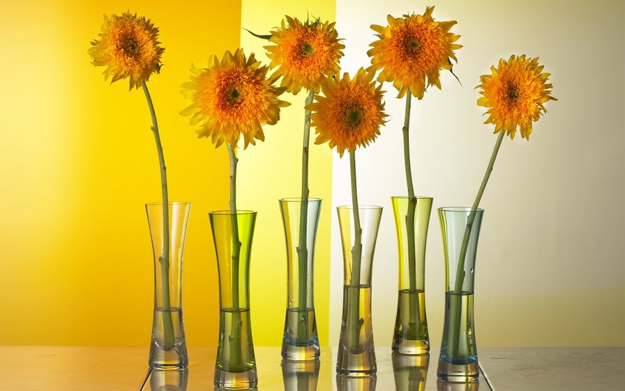 Свежесть - цветы - оригинал