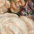 Предпросмотр схемы вышивки «натюрморт» (№1249573)