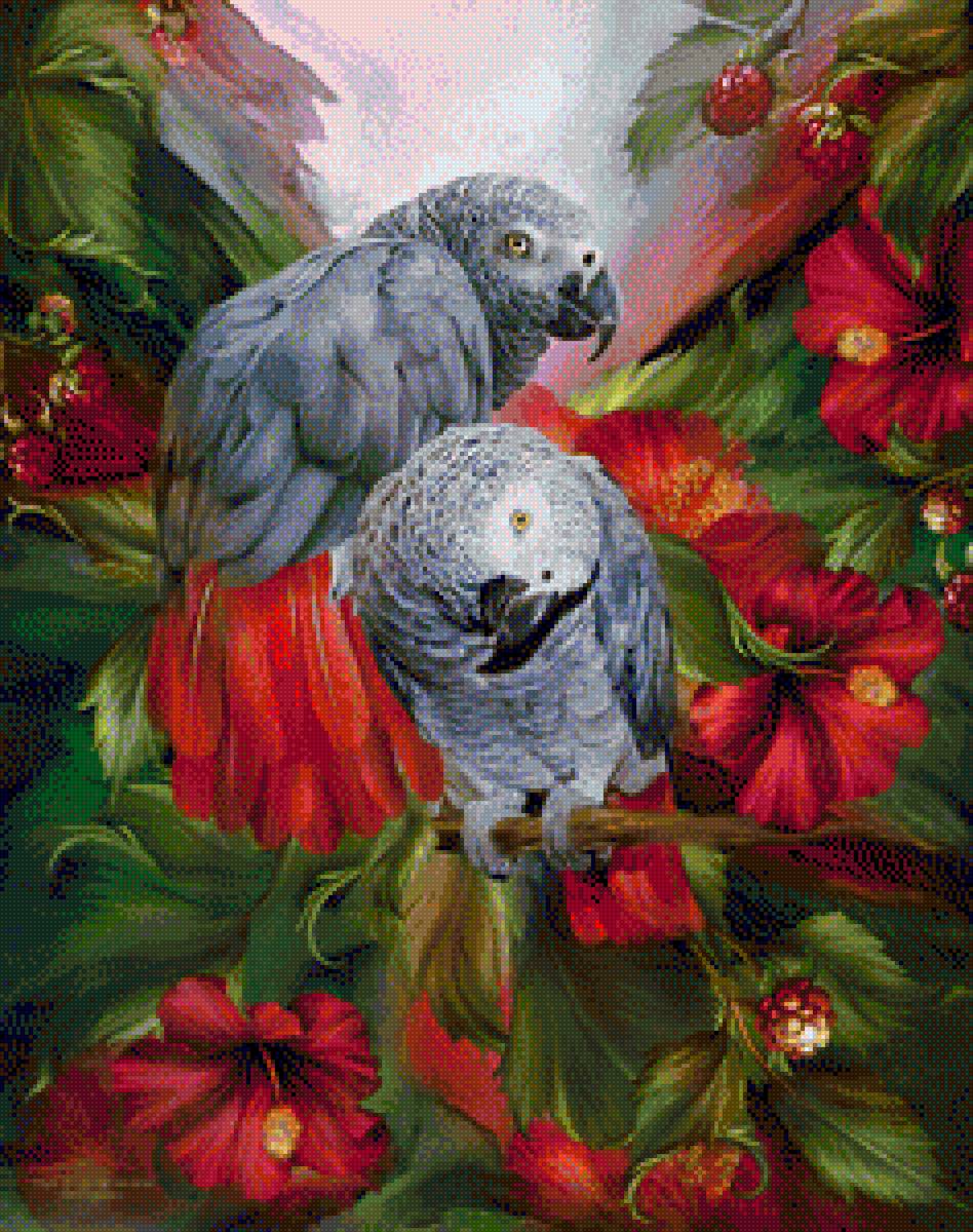 попугаи - птицы - предпросмотр