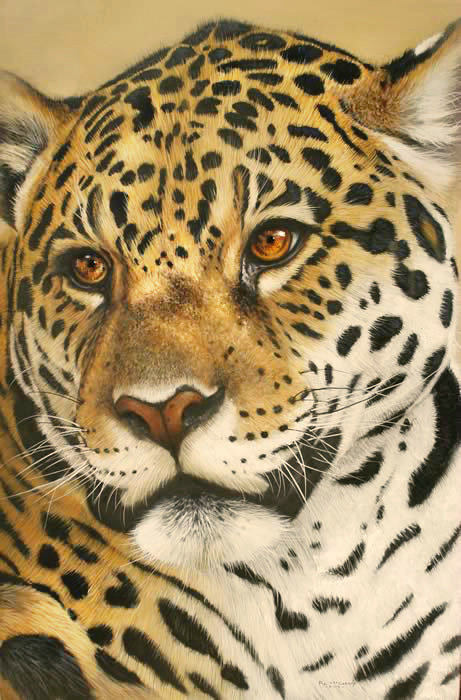 188 - хищники - оригинал