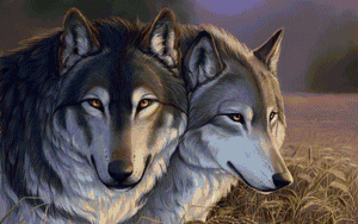 волки 5 - пара волков, волки - предпросмотр