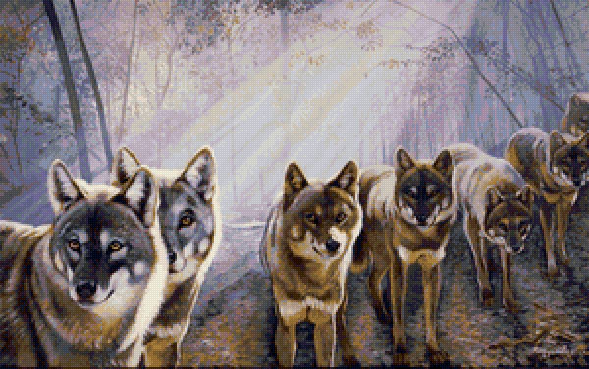 волки 7 - стая волков, пара волков, волки - предпросмотр