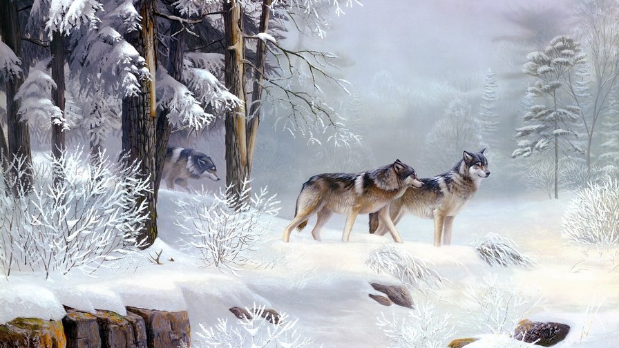 волки 8 - волки зимой, стая волков, волки, пара волков - оригинал