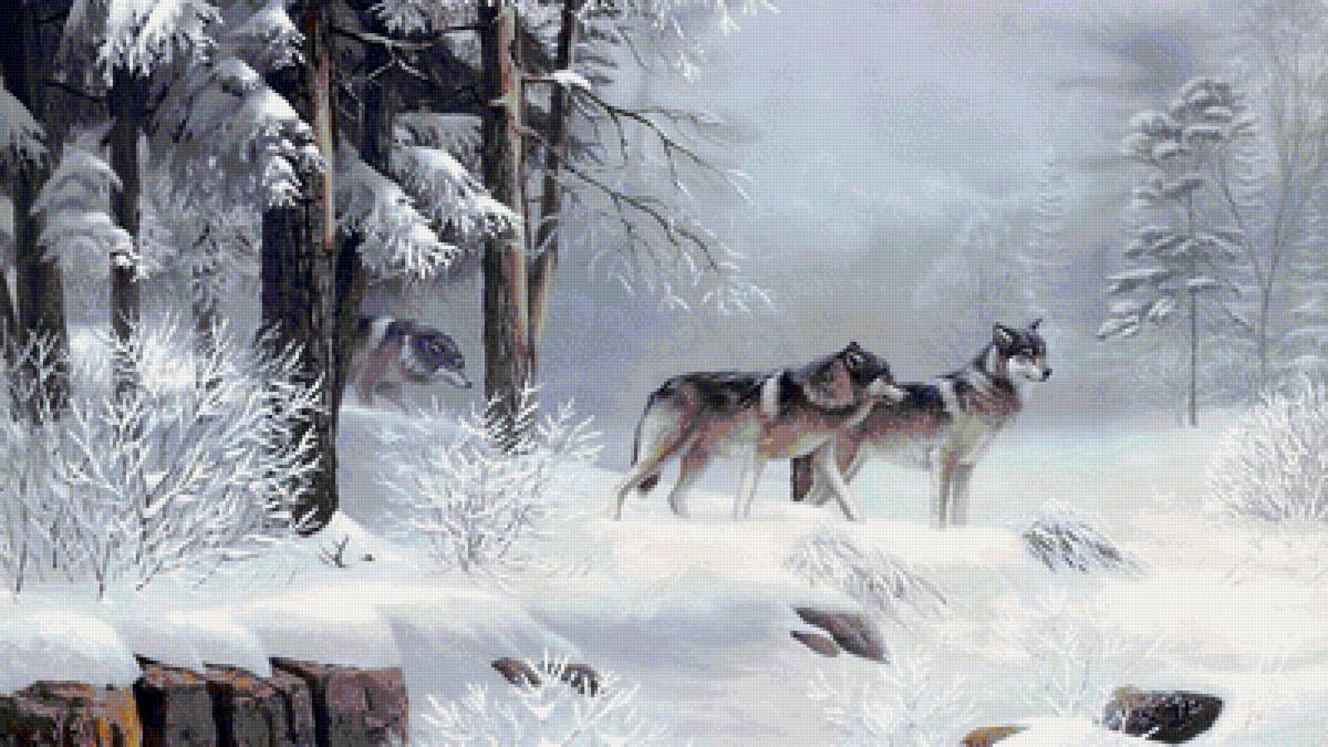 волки 8 - пара волков, волки зимой, волки, стая волков - предпросмотр