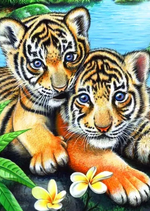 Тигрята - тигренок, тигр, животные, дикие кошки - оригинал