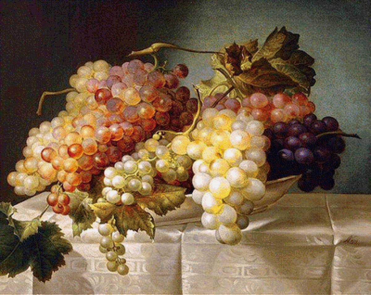 виноград и фрукты - виноград фрукты - предпросмотр