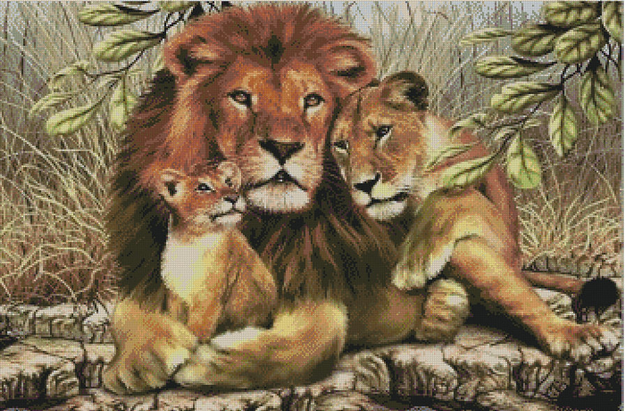 Львиный прайд - львенок, семья, львы, красиво, львица, лев - оригинал