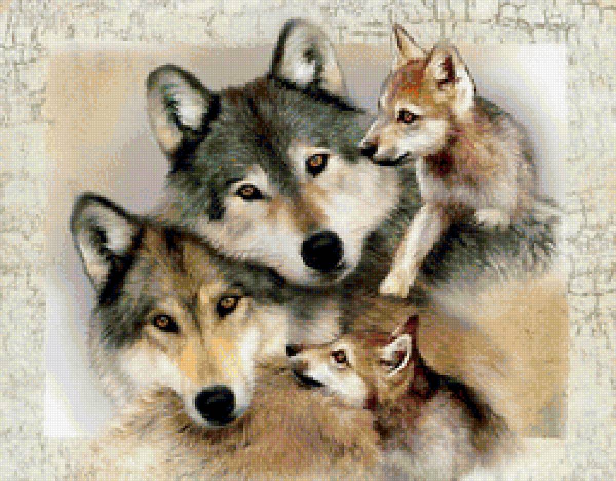 ctvmz djkrjd - волки семья животные - предпросмотр