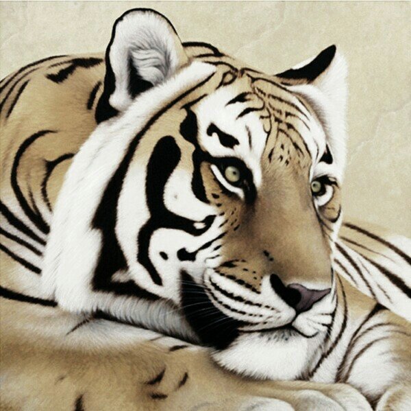 ТИГР - оригинал