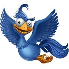 Схема вышивки «синяя птица»