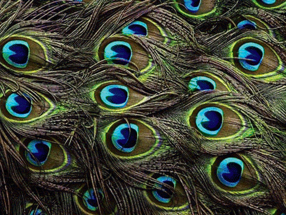 перо3 - предпросмотр