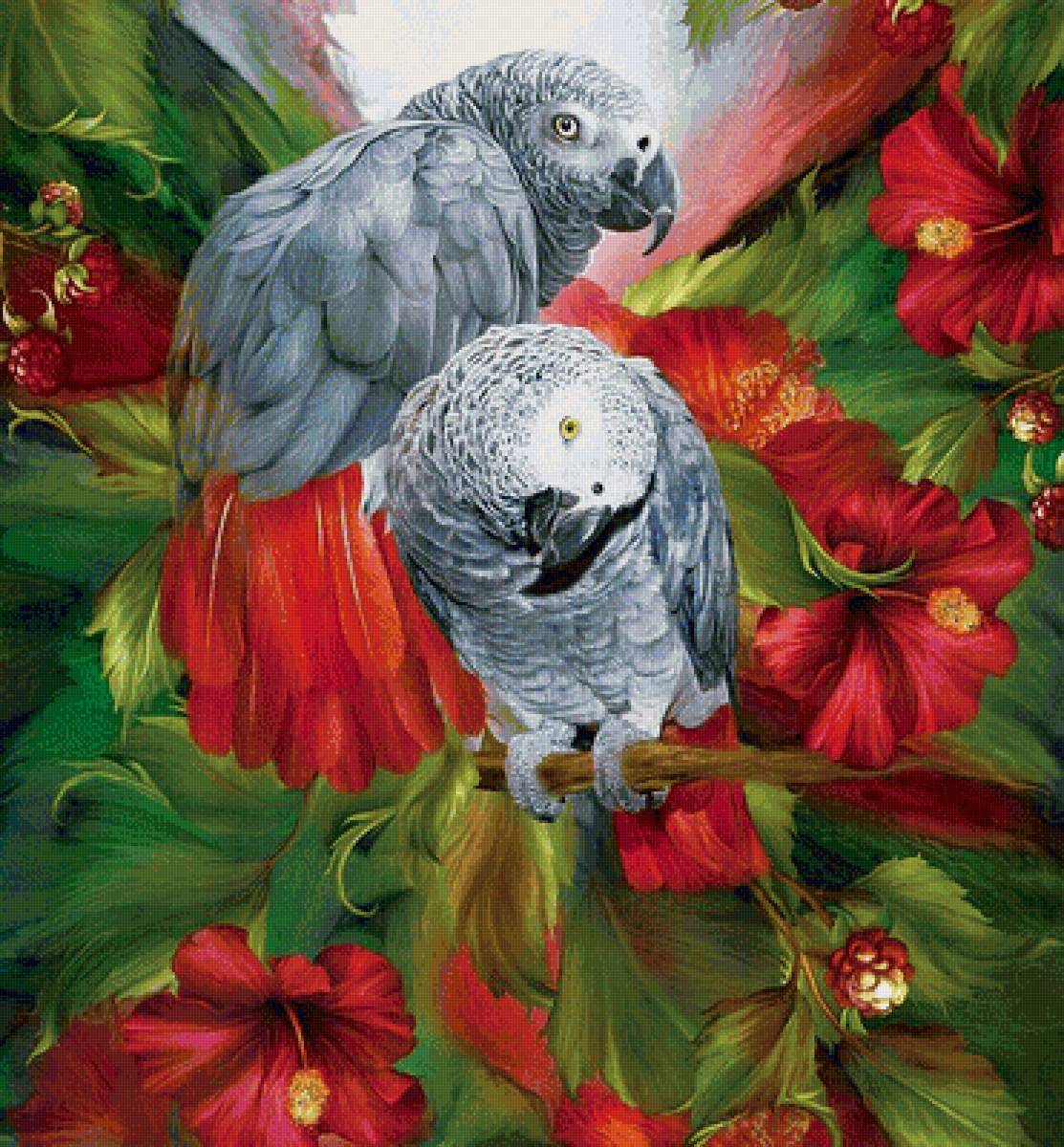 два попугая - предпросмотр